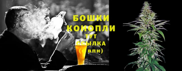прущий лед Богданович