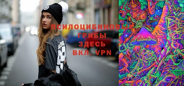 прущий лед Богданович