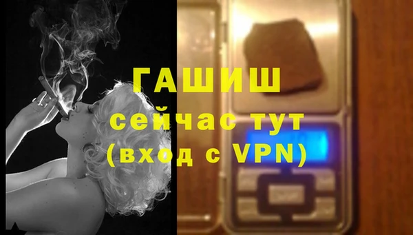 прущий лед Богданович