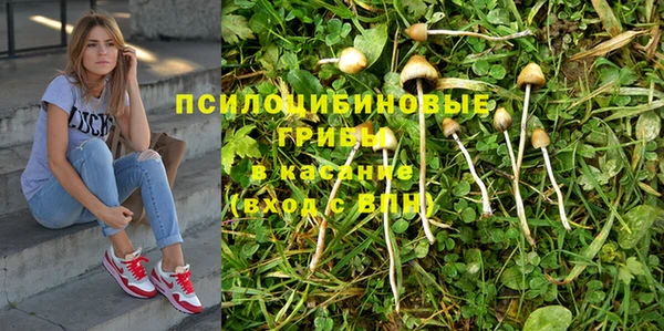 прущий лед Богданович