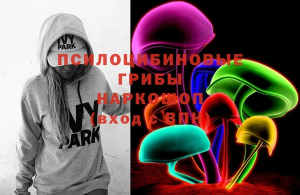 прущий лед Богданович