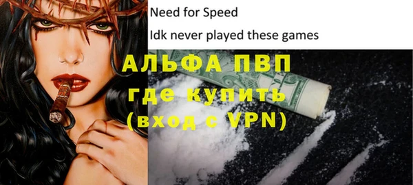 прущий лед Богданович