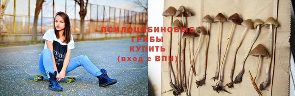 прущие крисы Богородицк