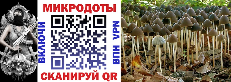 Псилоцибиновые грибы GOLDEN TEACHER  Купить  Богучар 